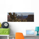 Raven Sitting On Tree On The South Rim Of The Grand Canyon, Arizona Wall Mural