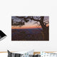 South Rim Of Grand Canyon At Dusk, Arizona Wall Mural