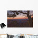 South Rim Of Grand Canyon At Dusk, Arizona Wall Mural