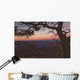 South Rim Of Grand Canyon At Dusk, Arizona Wall Mural