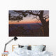 South Rim Of Grand Canyon At Dusk, Arizona Wall Mural