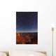 Star Trails Over The Grand Canyon, Arizona Wall Mural