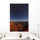 Star Trails Over The Grand Canyon, Arizona Wall Mural