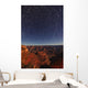 Star Trails Over The Grand Canyon, Arizona Wall Mural