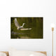 Snowy Egret Fishing In Florida Wall Mural