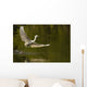 Snowy Egret Fishing In Florida Wall Mural