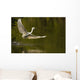 Snowy Egret Fishing In Florida Wall Mural