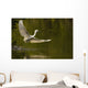 Snowy Egret Fishing In Florida Wall Mural