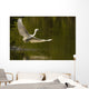 Snowy Egret Fishing In Florida Wall Mural