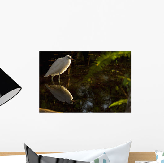 Snowy Egret, Florida Wall Mural