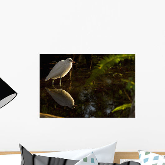 Snowy Egret, Florida Wall Mural