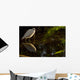 Snowy Egret, Florida Wall Mural