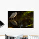 Snowy Egret, Florida Wall Mural