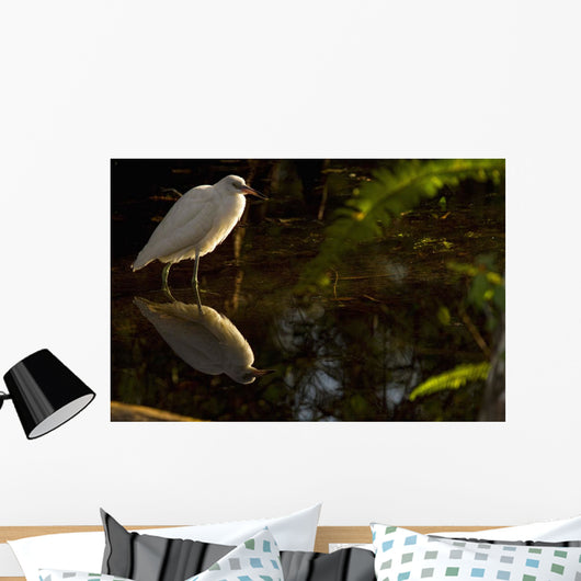 Snowy Egret, Florida Wall Mural