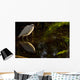 Snowy Egret, Florida Wall Mural