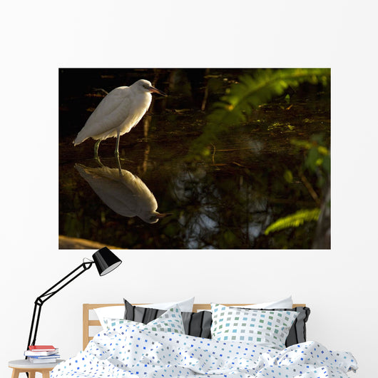 Snowy Egret, Florida Wall Mural