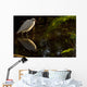 Snowy Egret, Florida Wall Mural