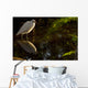 Snowy Egret, Florida Wall Mural
