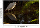 Snowy Egret, Florida Wall Mural
