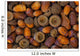 Acorns On Frozen Ground Wall Mural