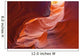 Lower Antelope Canyon, Arizona Wall Mural