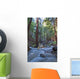 Stream In Limekiln State Park, California Wall Mural
