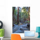 Stream In Limekiln State Park, California Wall Mural