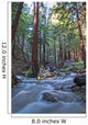 Stream In Limekiln State Park, California Wall Mural