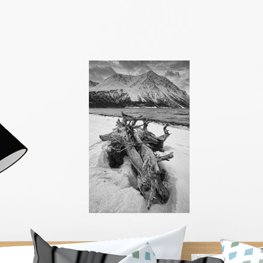 Black And White Version Of Kathleen Lake At Sunrise Wall Mural