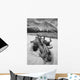 Black And White Version Of Kathleen Lake At Sunrise Wall Mural