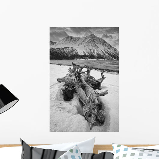 Black And White Version Of Kathleen Lake At Sunrise Wall Mural