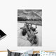 Black And White Version Of Kathleen Lake At Sunrise Wall Mural