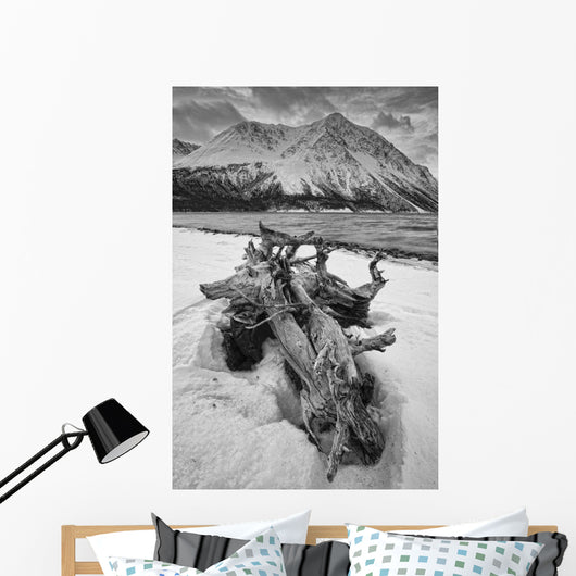 Black And White Version Of Kathleen Lake At Sunrise Wall Mural