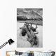 Black And White Version Of Kathleen Lake At Sunrise Wall Mural