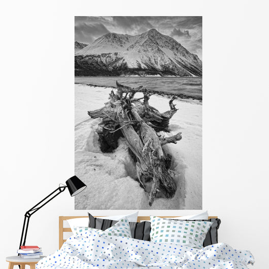 Black And White Version Of Kathleen Lake At Sunrise Wall Mural