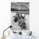 Black And White Version Of Kathleen Lake At Sunrise Wall Mural