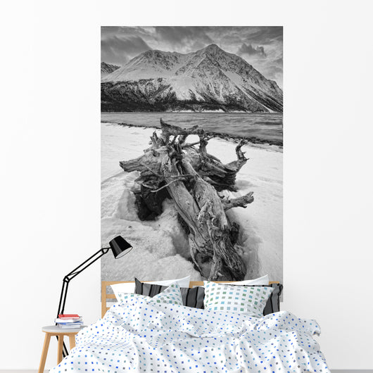 Black And White Version Of Kathleen Lake At Sunrise Wall Mural