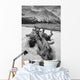Black And White Version Of Kathleen Lake At Sunrise Wall Mural