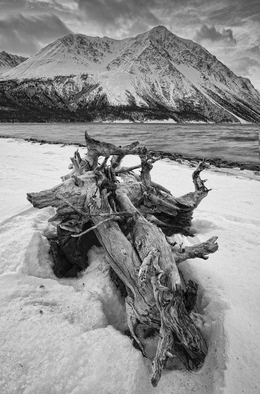 Black And White Version Of Kathleen Lake At Sunrise Wall Mural