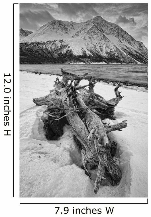 Black And White Version Of Kathleen Lake At Sunrise Wall Mural