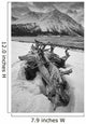 Black And White Version Of Kathleen Lake At Sunrise Wall Mural
