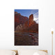 The Virgin River Runs Through The Narrows, Zion National Park, Utah Wall Mural