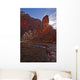 The Virgin River Runs Through The Narrows, Zion National Park, Utah Wall Mural