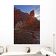 The Virgin River Runs Through The Narrows, Zion National Park, Utah Wall Mural