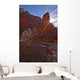 The Virgin River Runs Through The Narrows, Zion National Park, Utah Wall Mural