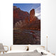 The Virgin River Runs Through The Narrows, Zion National Park, Utah Wall Mural