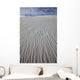 White Sands National Monument, New Mexico Wall Mural