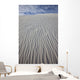White Sands National Monument, New Mexico Wall Mural
