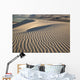 White Sands National Monument, New Mexico Wall Mural