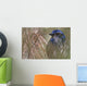 Scrub Jay Wall Mural